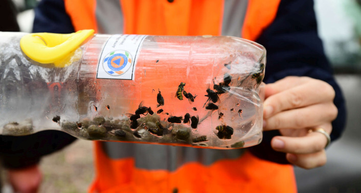 Unde labore quos corporis et totam facilis rerum placeat.