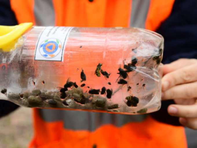 Unde labore quos corporis et totam facilis rerum placeat.